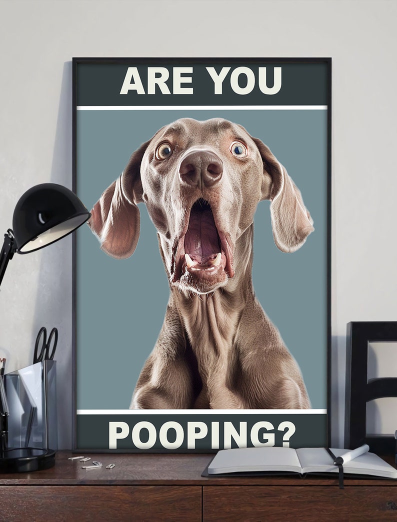 May include: A poster with a light blue background featuring a surprised-looking dog with the text "ARE YOU POOPING?" in white letters.