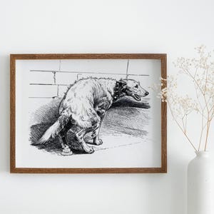 Irish Wolfhound Pooping On The Grass Poster, Irish Wolfhound Canvas, Irish Wolfhound Wall Art, Irish Wolfhound Dog Decor, Wolfhound Dog Art