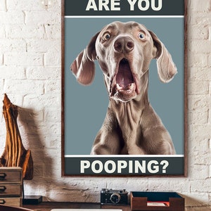 May include: A humorous poster featuring a surprised-looking dog with the text "ARE YOU POOPING?" in white letters on a black background.