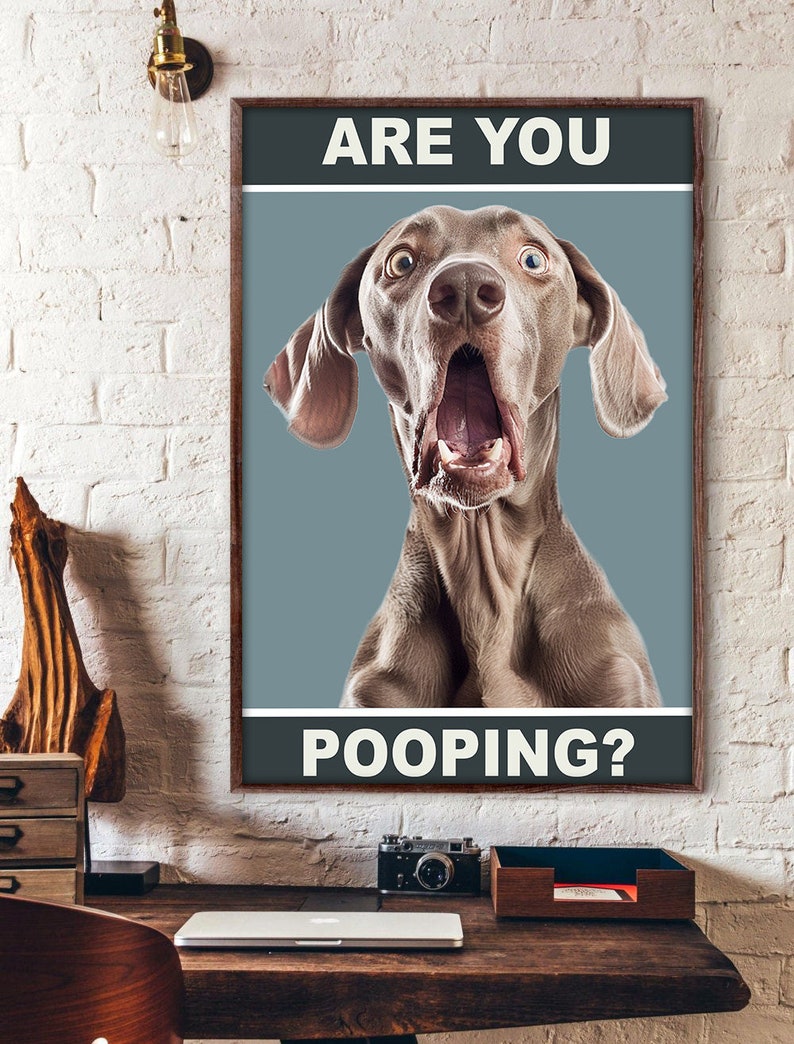 May include: A humorous poster featuring a surprised-looking dog with the text "ARE YOU POOPING?" in white letters on a black background.