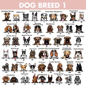 May include: A chart with illustrations of 46 different dog breeds. Each breed is labeled with its name and a number. The chart is organized in rows and columns. The dogs are all facing forward and have their heads peeking over the top of the chart.