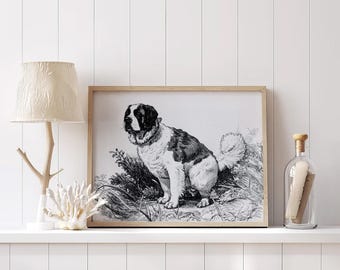 Saint Bernard Pooping On The Grass Poster, Saint Bernard Canvas, Saint Bernard Dog Wall Art, Saint Bernard Dog Decor, Saint Bernard Decor