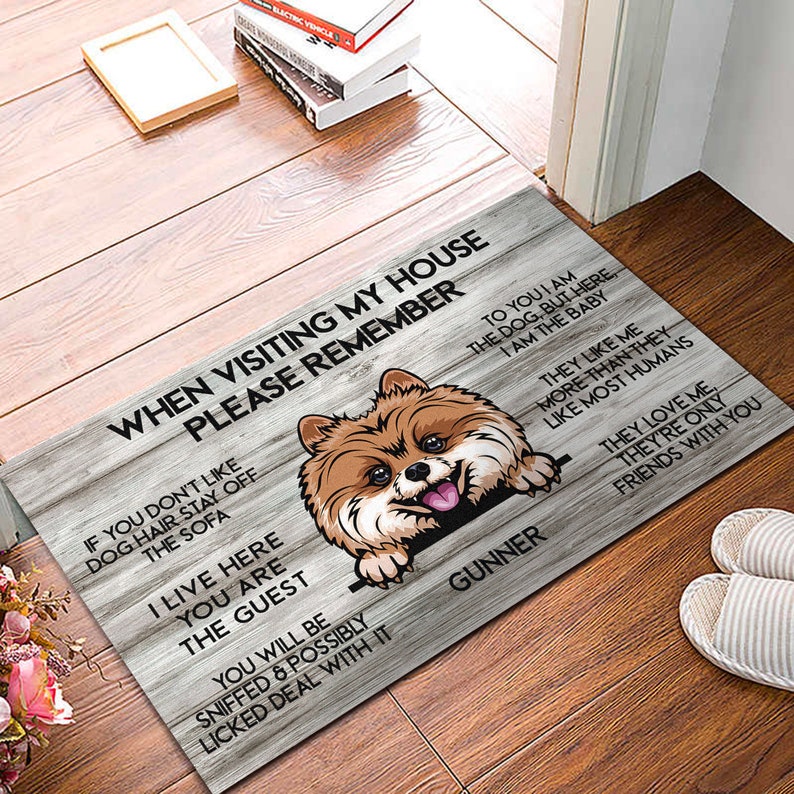May include: A brown and white dog with the text "When visiting my house please remember" and "To you I am the dog but here I am the baby" and "They like me more than they like most humans" and "They love me they're only friends with you" and "If you don't like dog hair stay off the sofa" and "I live here you are the guest" and "You will be sniffed & possibly licked deal with it" and "Gunner".