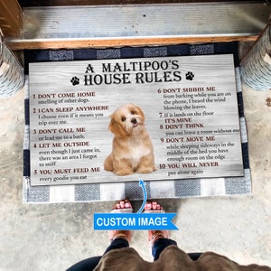 Op de afbeelding: Een wit houten bord met bruine tekst die "A Maltipoo's House Rules" zegt met een schattige witte en bruine Maltipoo-hond die in het midden van het bord zit. Het bord heeft 10 regels voor de hond, zoals "Kom niet thuis ruikend naar andere honden" en "Je moet me elke lekkernij voeren die je eet".