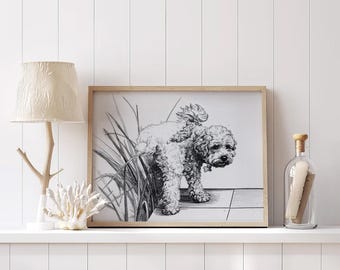 Affiche Goldendoodle faisant ses besoins sur l'herbe, Toile Goldendoodle, Décoration murale Goldendoodle humoristique, Décoration pour chien Goldendoodle, Art mural Goldendoodle
