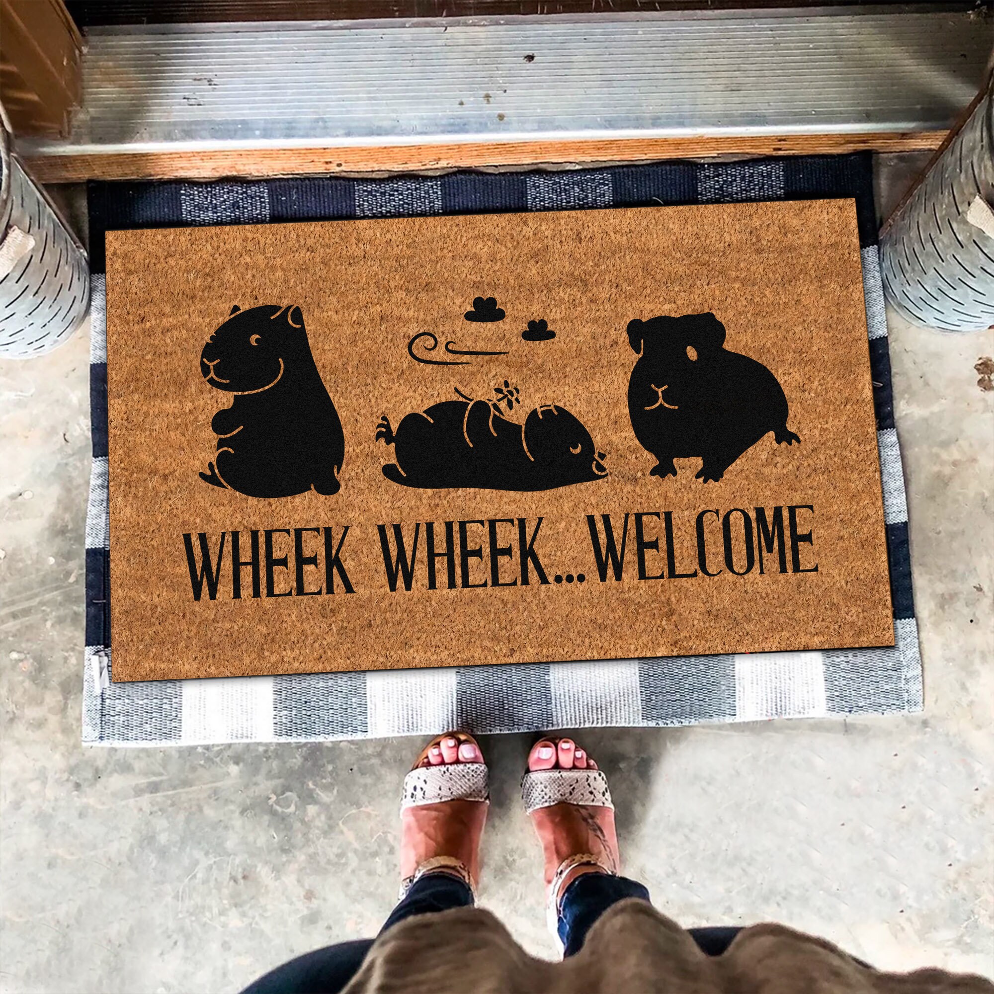 Guinea hotsell pig doormat