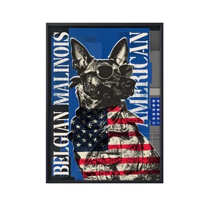 May include: Framed art print featuring a Belgian Malinois dog wearing sunglasses and a bandana and jacket with an American flag design. The words "BELGIAN MALINOIS" and "AMERICAN" are printed on the sides of the image. The background is blue and gray.