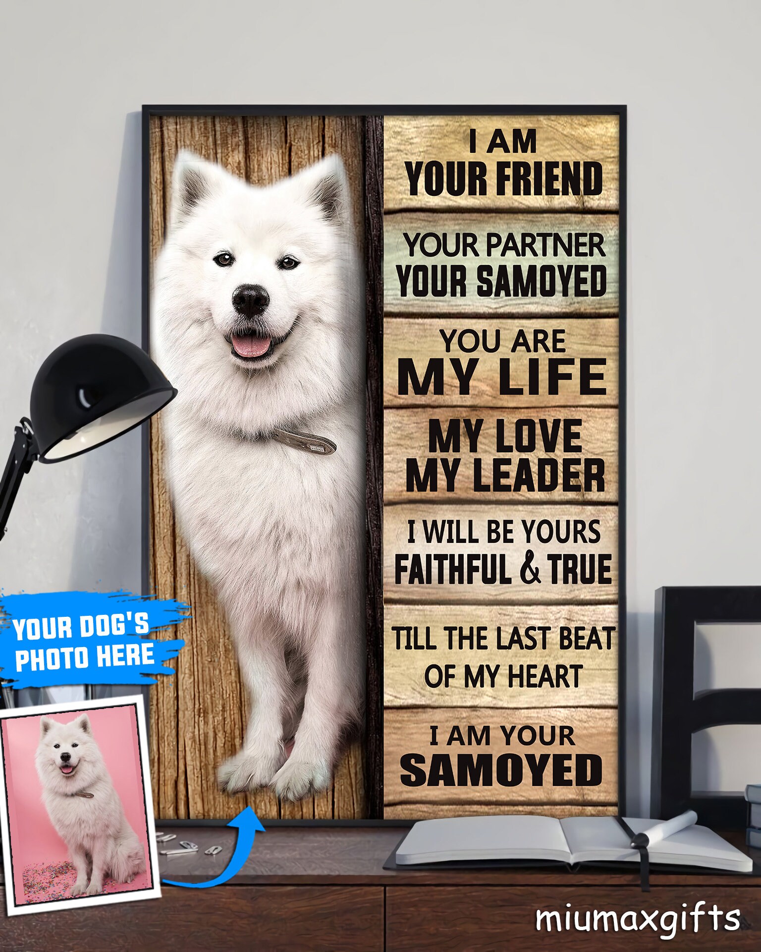 can a samoyed and a akita be friends