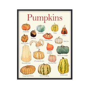 Póster Montessori de calabazas de otoño, póster de otoño, arte mural de calabazas, decoración otoñal, arte de la cosecha, póster educativo sobre tipos de calabazas, decoración del aula.