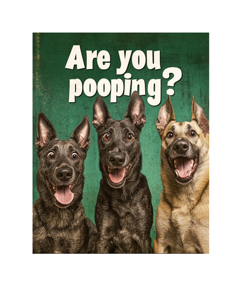 Funny Dutch Shepherd Are You Pooping Poster, Funny Dog Poster, Dutch