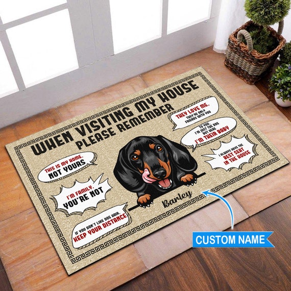 The Best Door Mat for Dogs - Doormat