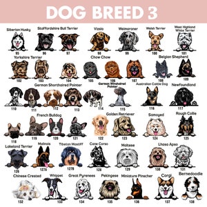 May include: A chart of 138 different dog breeds, each with a number and a name. The dogs are illustrated in a cartoon style, peeking over the top of a white rectangle. The chart is on a pink background.