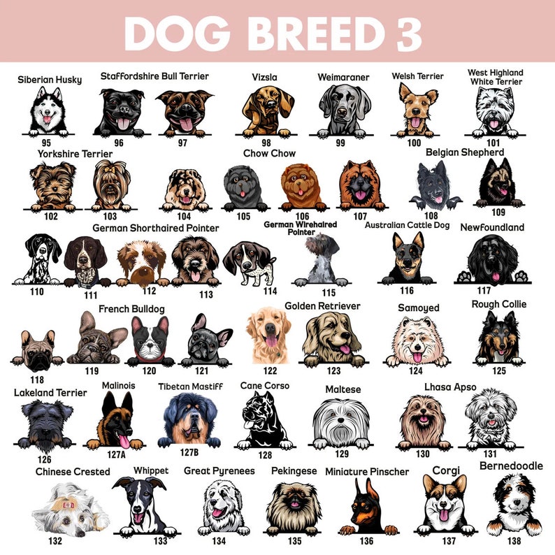 May include: A chart of 138 different dog breeds, each with a number and a name. The dogs are illustrated in a cartoon style, peeking over the top of a white rectangle. The chart is on a pink background.