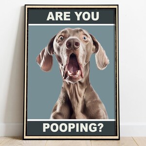 May include: A humorous poster featuring a surprised-looking dog with the text "ARE YOU POOPING?" in white letters on a black background.
