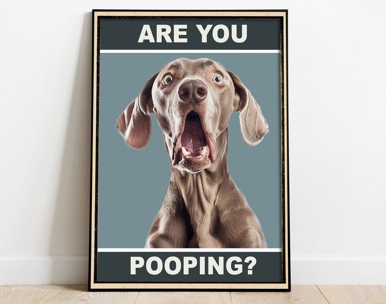 May include: A humorous poster featuring a surprised-looking dog with the text "ARE YOU POOPING?" in white letters on a black background.
