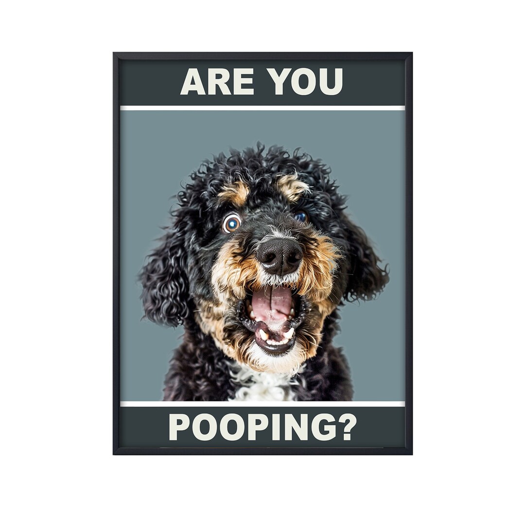 bernedoodle-are-you-pooping-funny-dog-poster-bernedoodle-wall-art
