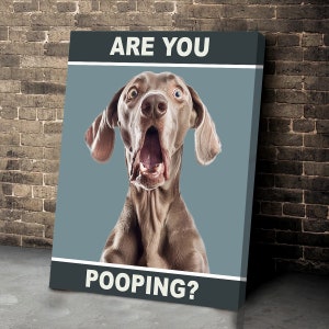 May include: A gray dog with its mouth open wide, looking surprised. The dog is in front of a blue background with the text "ARE YOU POOPING?" in white letters.