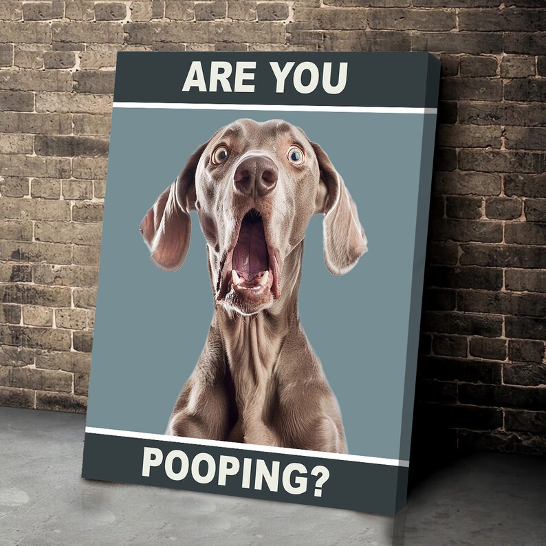 May include: A gray dog with its mouth open wide, looking surprised. The dog is in front of a blue background with the text "ARE YOU POOPING?" in white letters.
