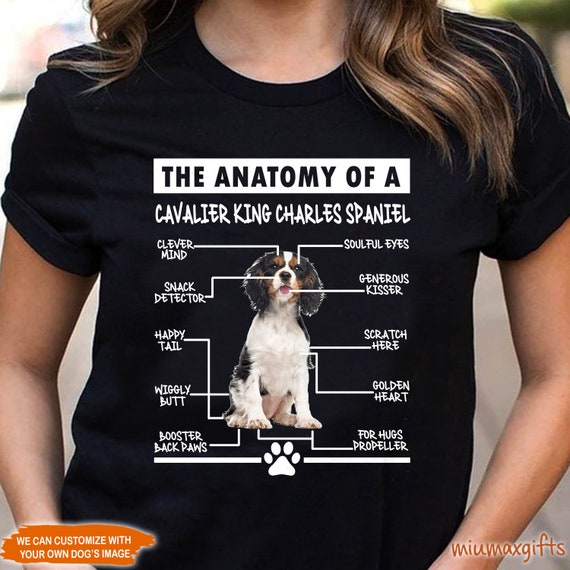 Cavalier King Charles Spaniel T Shirt Cavalier King Charles Spaniel T Shirt