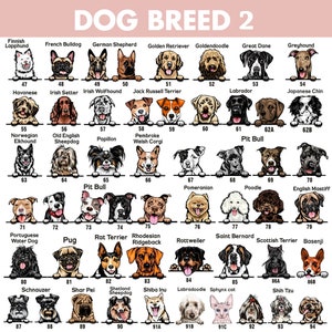 May include: A chart of 94 different dog breeds, each illustrated with a cartoon image of the dog's head. The chart is organized in rows and columns, with each breed labeled with its name and number. The chart is on a pink background.