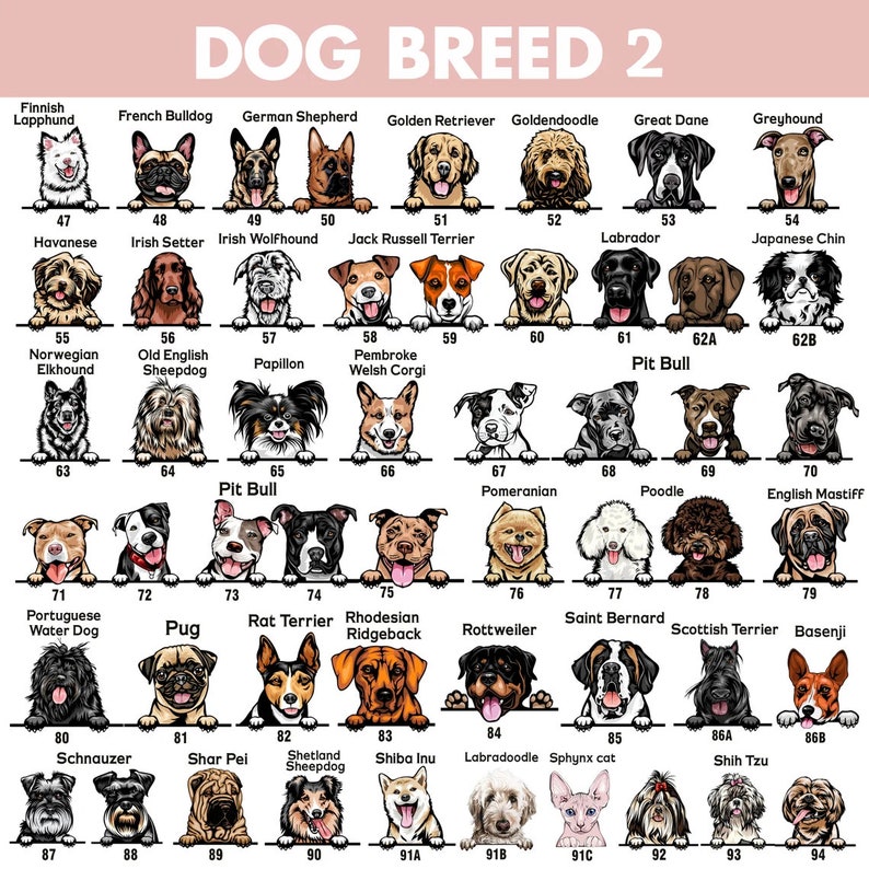 May include: A chart of 94 different dog breeds, each illustrated with a cartoon image of the dog's head. The chart is organized in rows and columns, with each breed labeled with its name and number. The chart is on a pink background.