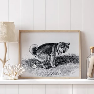 芝生でうんちをする柴犬のポスター、柴犬のキャンバス、柴犬のウォールアート、柴犬の装飾、柴犬のポスター装飾、柴犬のギフト