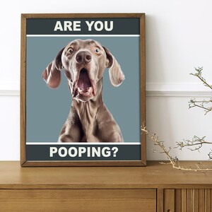 May include: A framed poster with a light blue background featuring a dog with a surprised expression. The text on the poster reads "ARE YOU POOPING?"