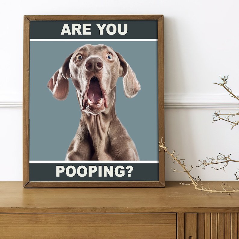 May include: A framed poster with a light blue background featuring a dog with a surprised expression. The text on the poster reads "ARE YOU POOPING?"