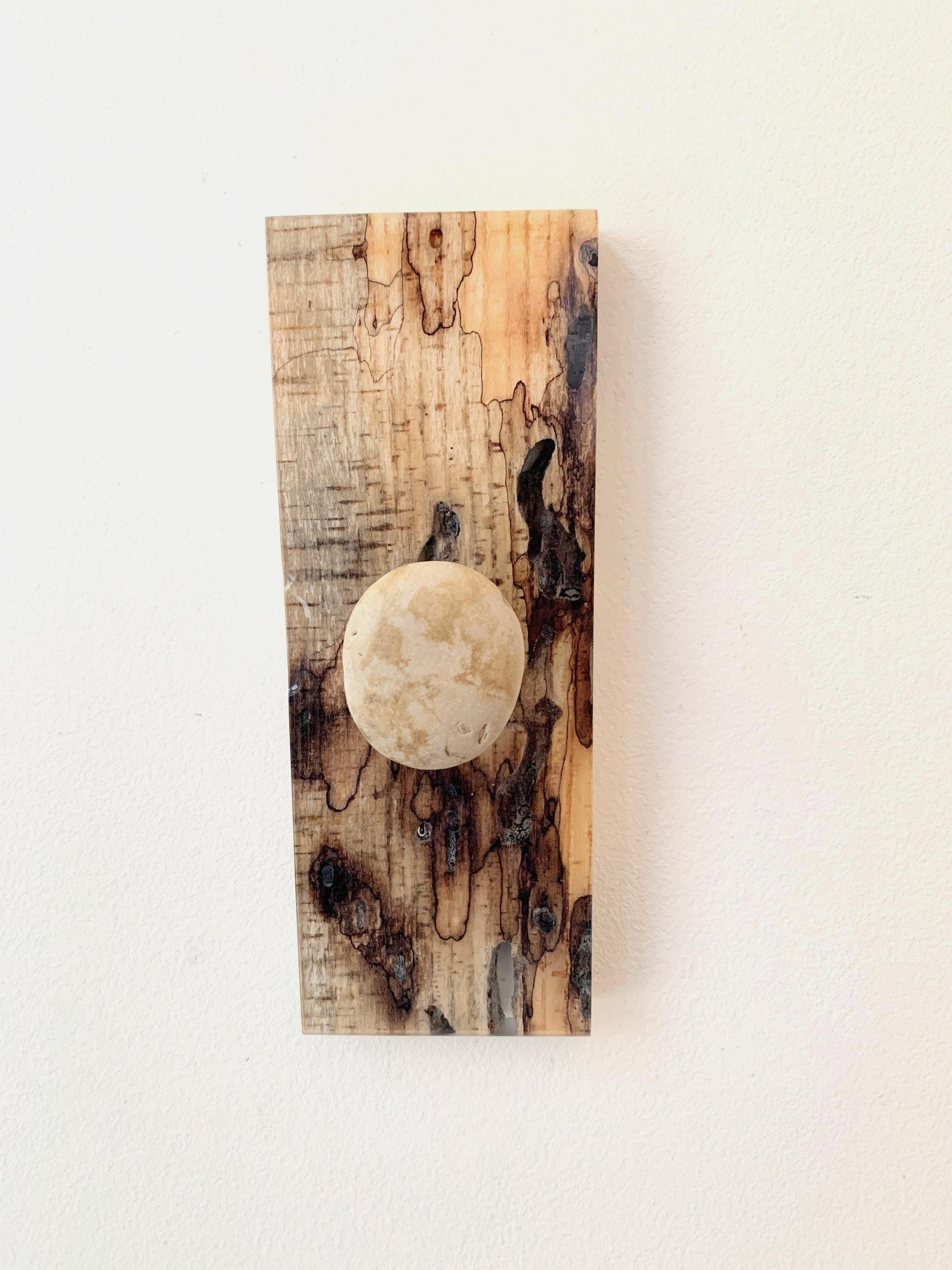 Rustic Beach Stone Wall Hook on Spalted Driftwood – Coastal, Beach and Lake Decor