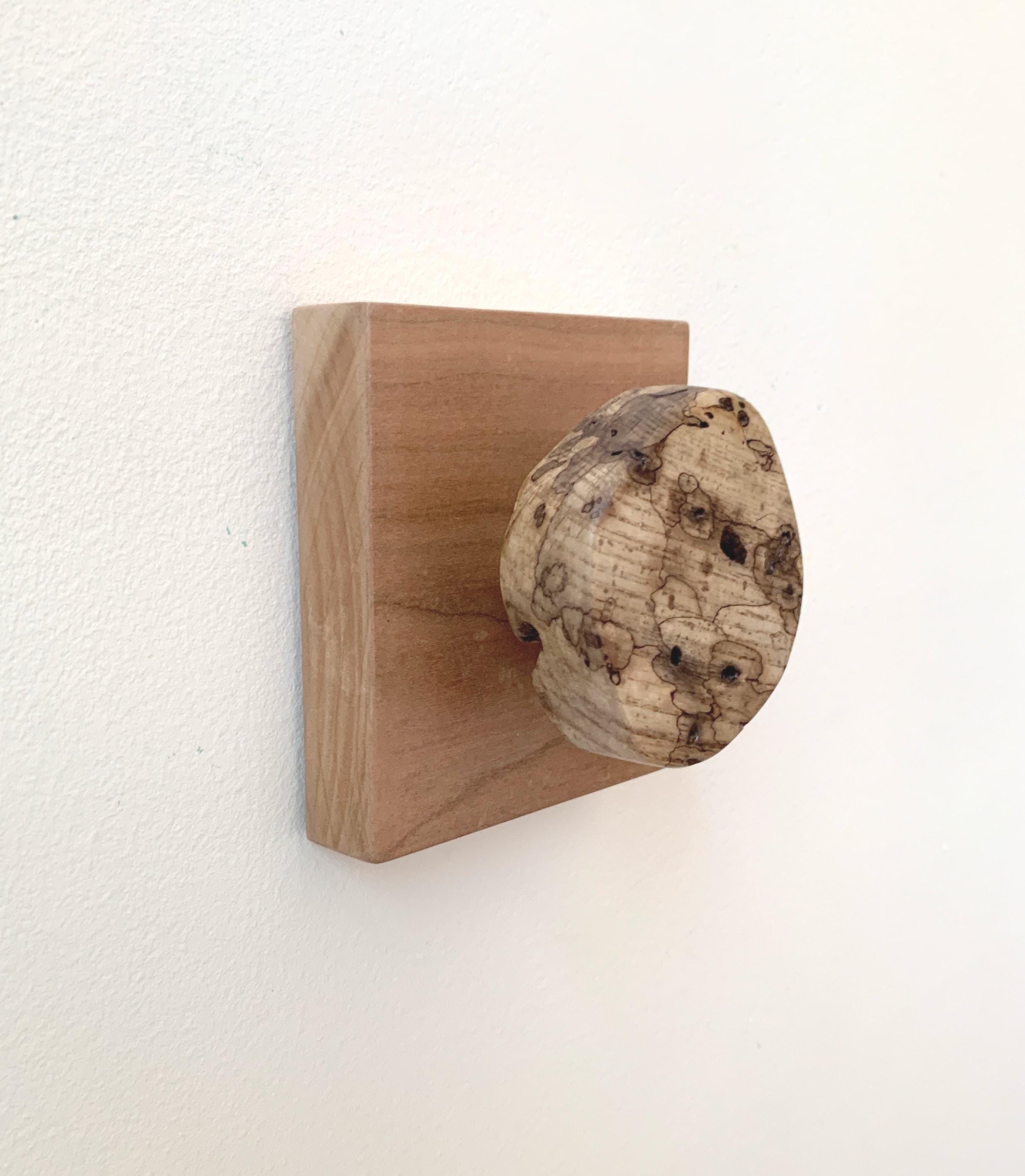 Rustic Driftwood Wall Hook: Spalted Wood Mounted on Cherry