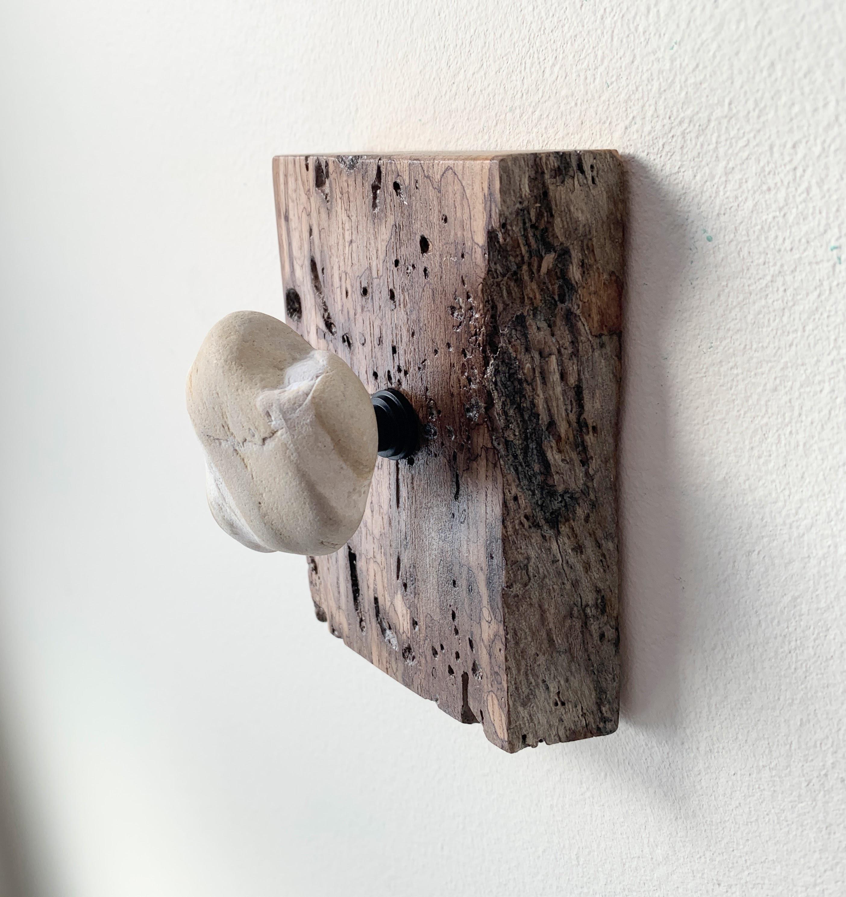 Spalted Driftwood Wall Hook – Lake Michigan Beach Stone, Rustic Decor