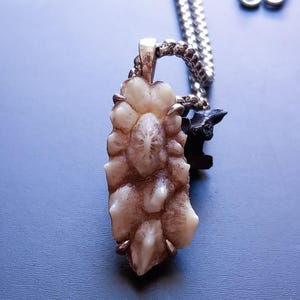 Könnte beinhalten: Eine einzigartige Anhänger Halskette mit einem cremefarbenen, strukturierten, organisch geformten Anhänger und einer silberfarbenen Öse. Der Anhänger hängt an einer silbernen Kette. Ein kleines schwarzes Akzentstück ist an der Kette befestigt.