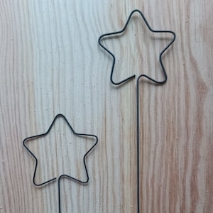 Könnte beinhalten: Zwei schwarze, sternförmige Pflanzenstäbe aus Metall auf einem Holzgrund. Die Stäbe sind unterschiedlich groß.