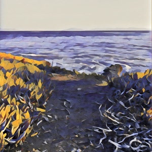Splash Path - Digital Download