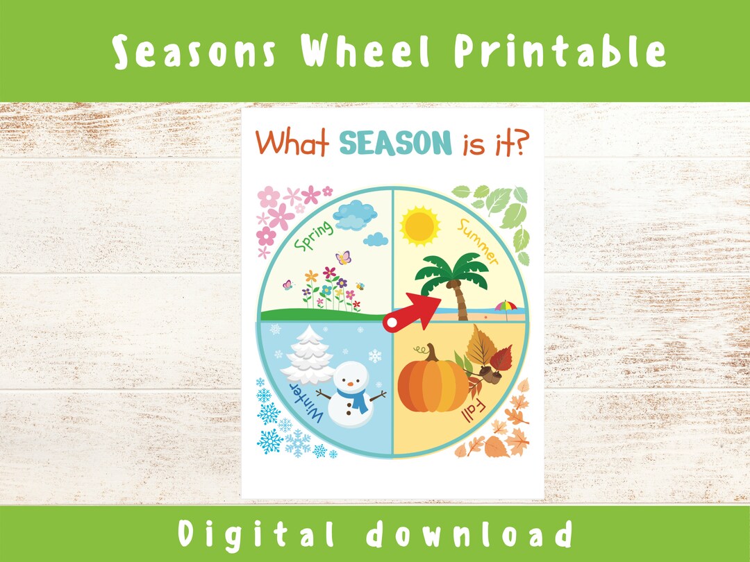 Seasons of the Year Seasons Printable - Etsy