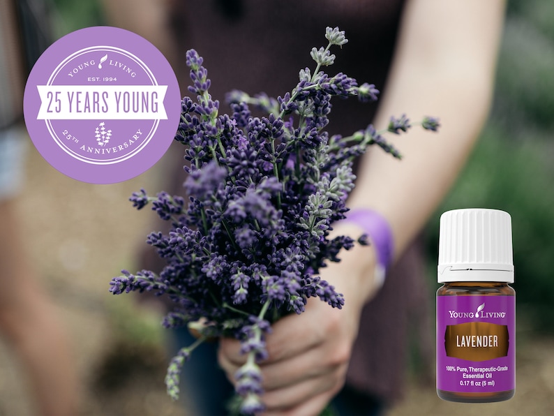 Young Living Candle Dupe Diffuser Recipes 4.25 X 5.5 Instant Digital