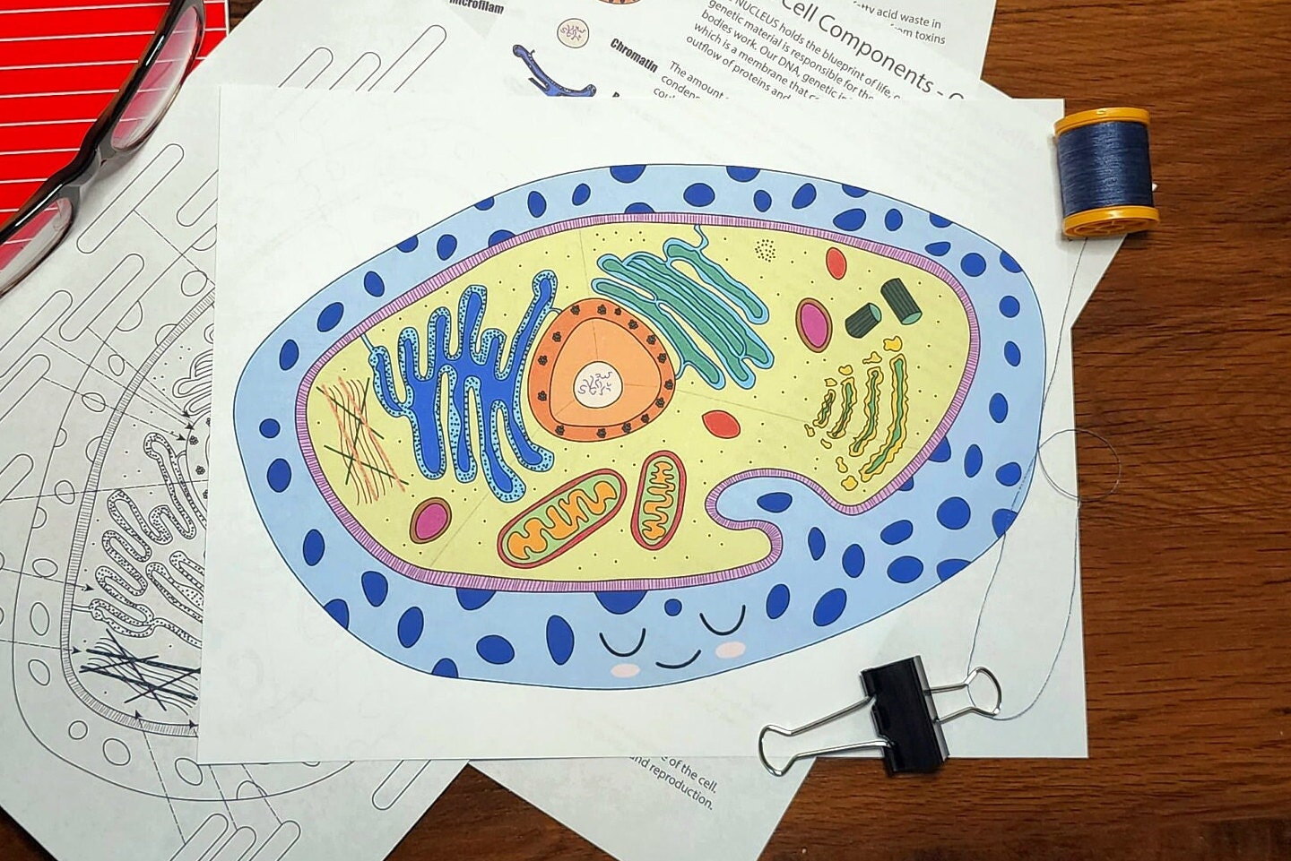 animal cell project