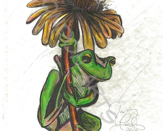 Male Frog Art
