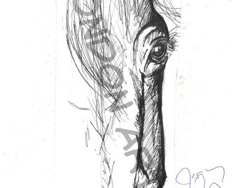 Horse Art