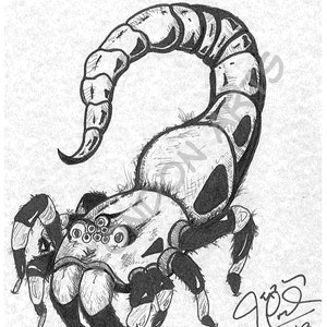 Scorpion Spider Art