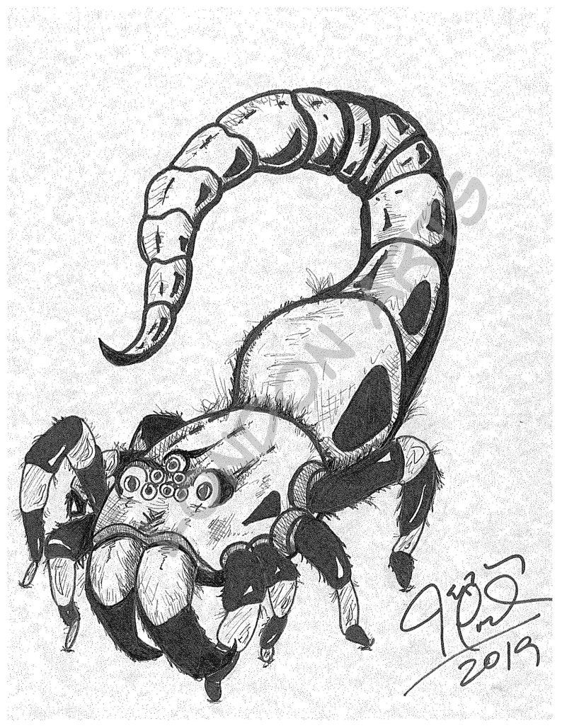 Scorpion Spider Art image 1