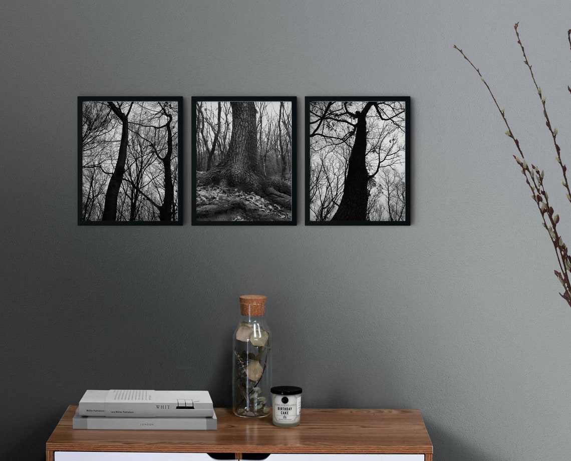Set of 3 Winter Tree Wall Art Tree Photo Gallery Wall Set Etsy