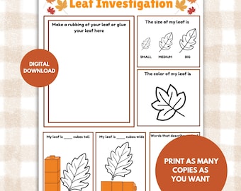 Why Do Leaves Change Color In The Fall Worksheet