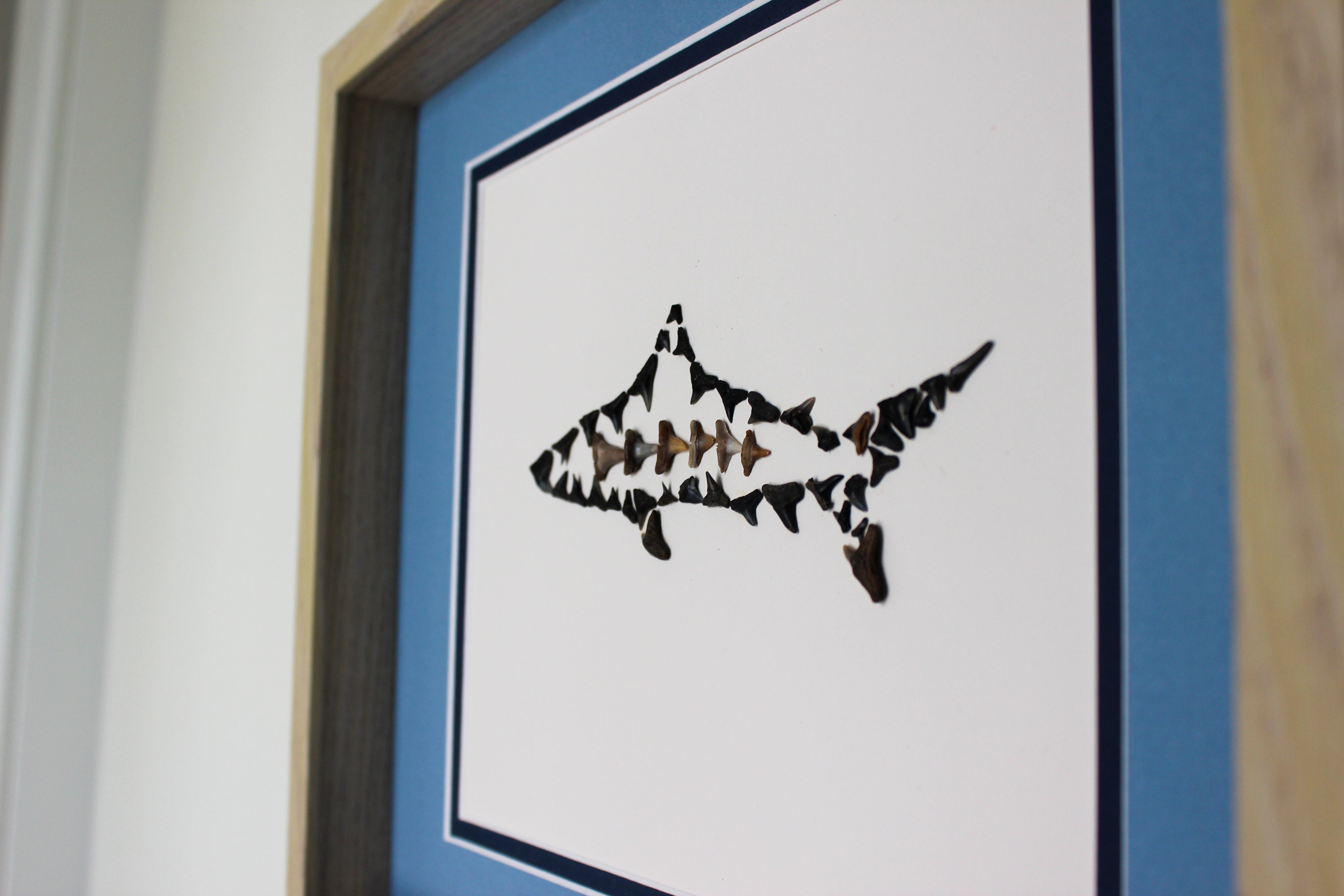 Shark Made From Shark Teeth - Etsy