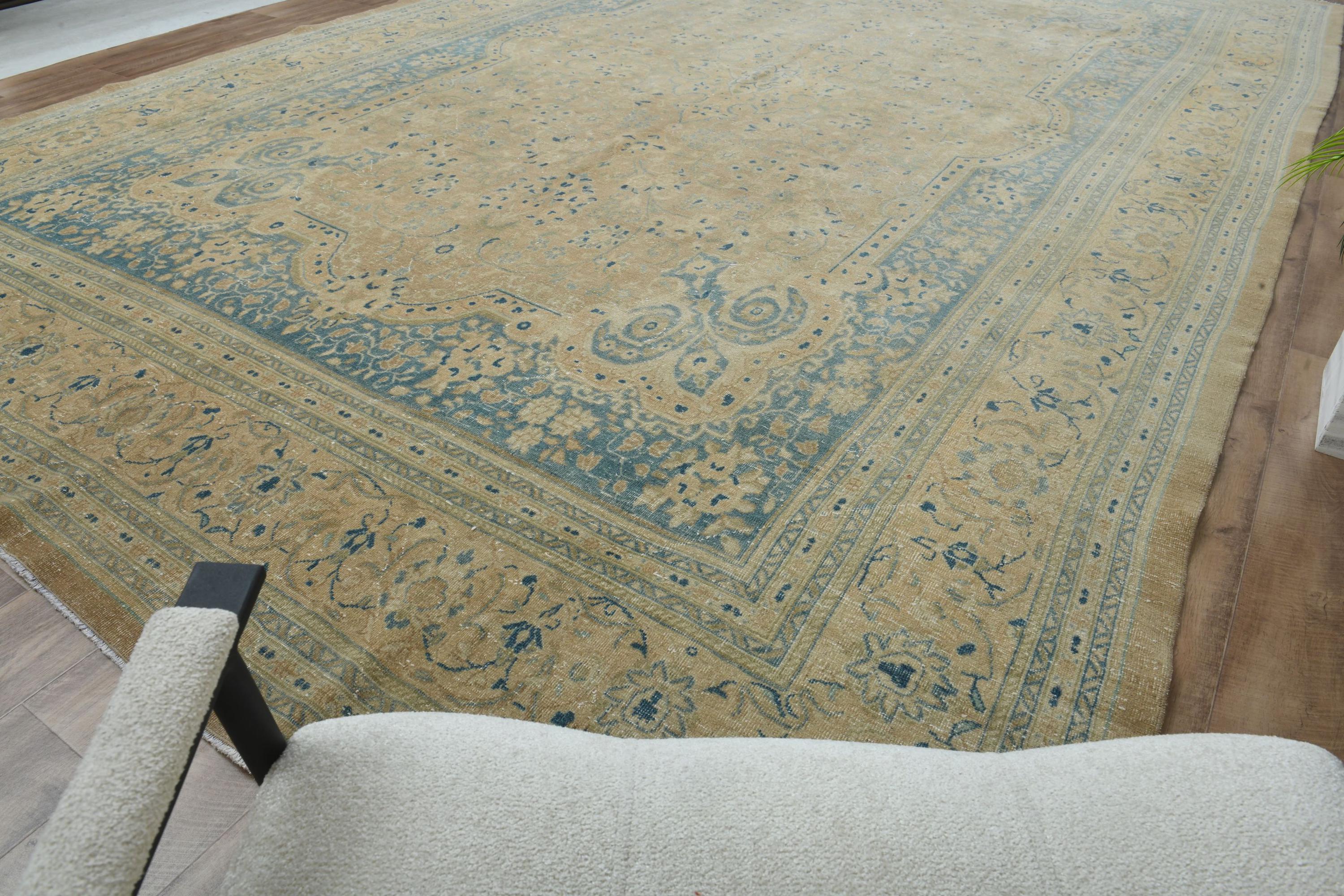 10x16 Ft ANATOLIAN LUXURY STYLE Rug, Extra Large Rug, Sandy Beige Blue ...