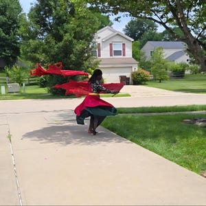 May include: A person wearing a long-sleeved black and white patterned top with a red and dark green skirt featuring a gold waistband. The outfit includes large, flowing red fabric wings attached to the arms that extend outward in a wide arc.
