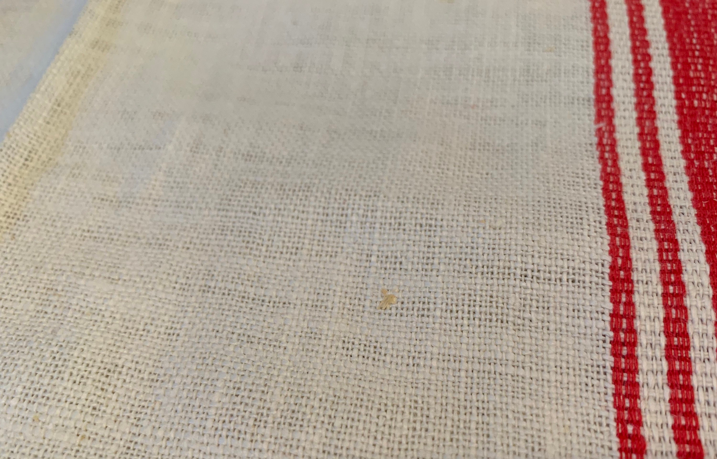 Vintage Hand Embroidered Linen Kitchen Dish Towel Grapes Etsy