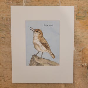 May include: Watercolor painting of a Rock Wren bird perched on a rock. The bird has brown and white feathers, with its beak open. The artwork is framed in a white mat, with the text "Rock Wren" above the bird.