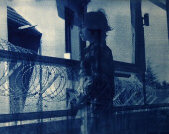 Cyanotype photography "The birds in our heads"