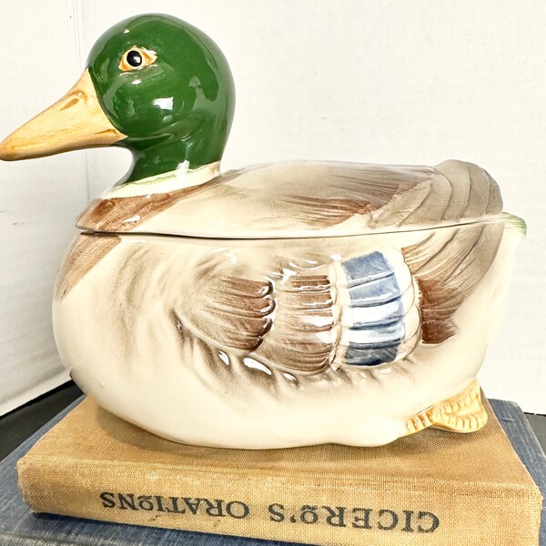 Duck Cookie Jar - Etsy